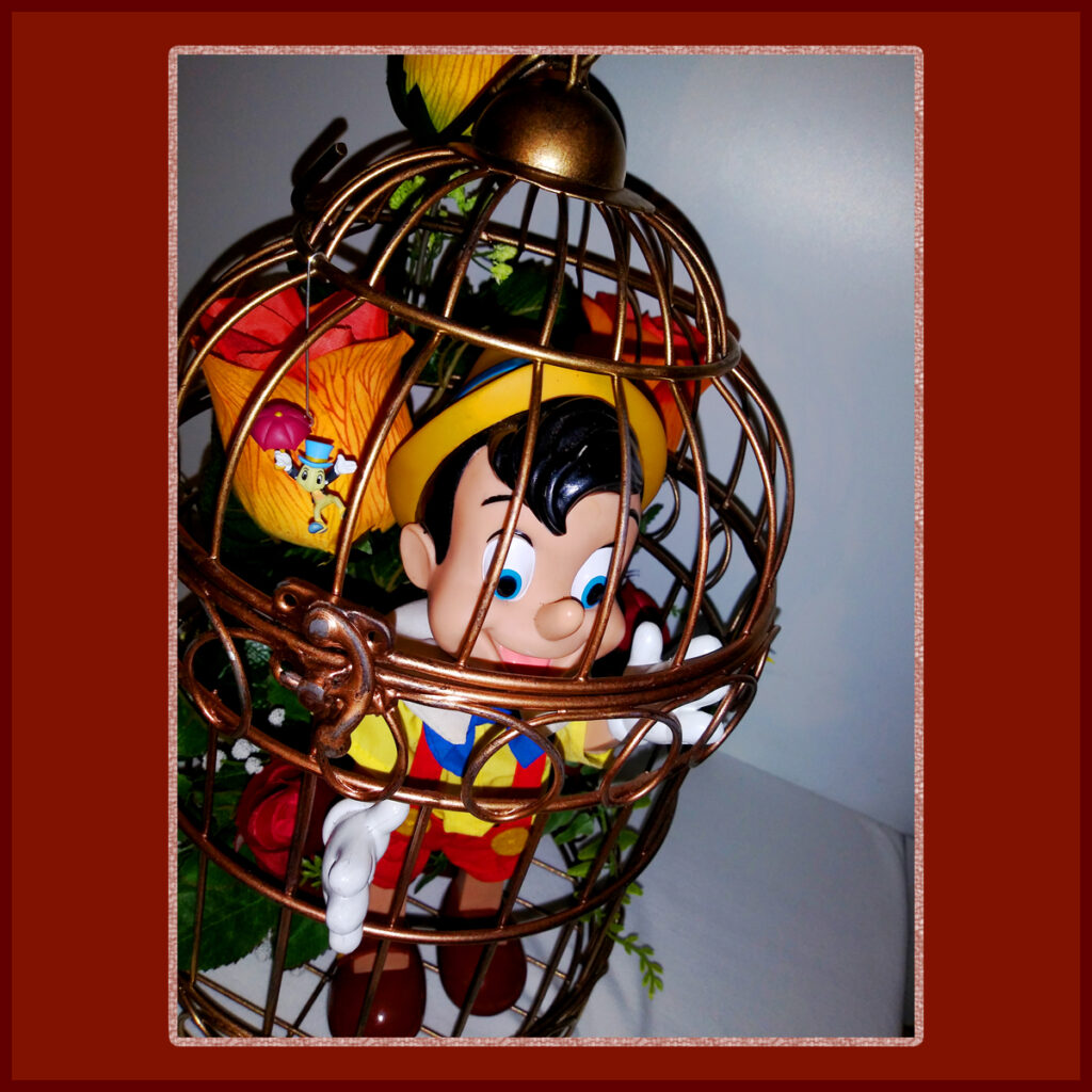 Pinocchio Cage Floral Art